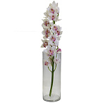 Орхидея белая ветка