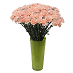 Гвоздика стандарт розовая