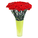 Гвоздика стандарт красная