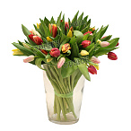 Тюльпан микс