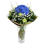 Букет из гортензии, гвоздики и хризантемы Сантини