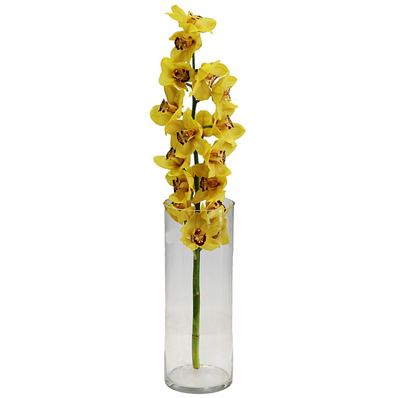 Орхидея желтая ветка — фото 1