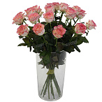 Роза Джамиля 80 см