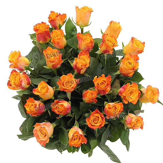Роза микс оранжевая 50 см — фото 2