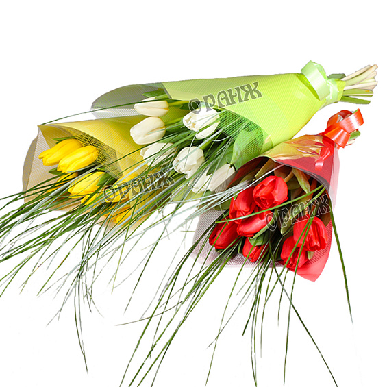 Корпоративный букет из тюльпанов — фото 1