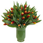 Тюльпан желто-красный