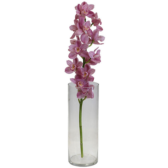 Орхидея розовая ветка — фото 1