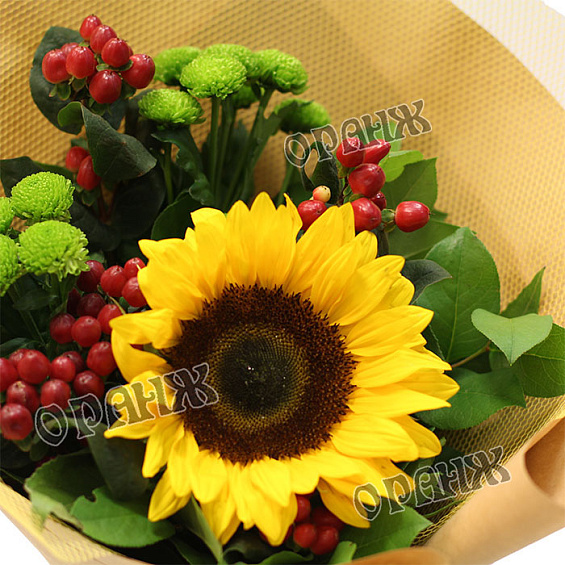 Букет из подсолнуха, хризантемы и хиперикума — фото 2