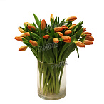 Тюльпан оранжевый