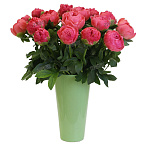 Пион коралловый