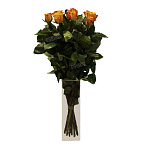 Роза Мери Клер 80 см