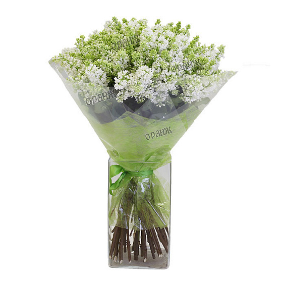 Букет из сирени — фото 1