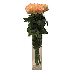 Роза Хармони ин Пич 70 см