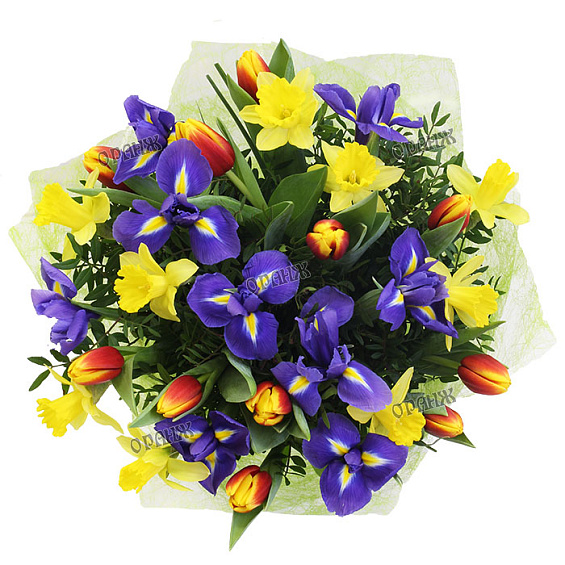 Букет из ирисов, нарциссов и тюльпанов — фото 2