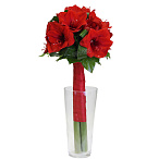 Букет из амариллисов красных