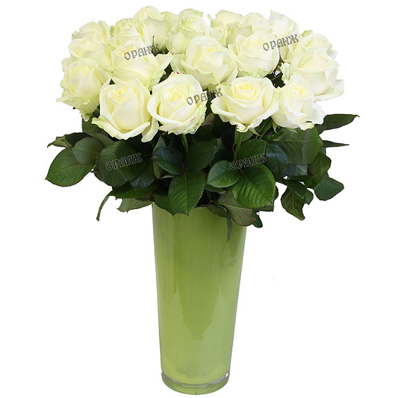 Роза микс белая 60 см — фото 1