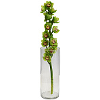 Орхидея зеленая ветка