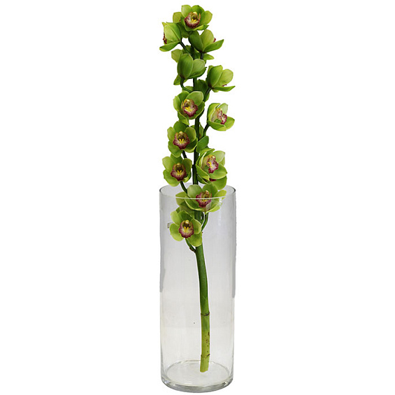 Орхидея зеленая ветка — фото 1