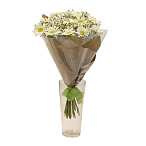 Букет из ромашек и матрикарии