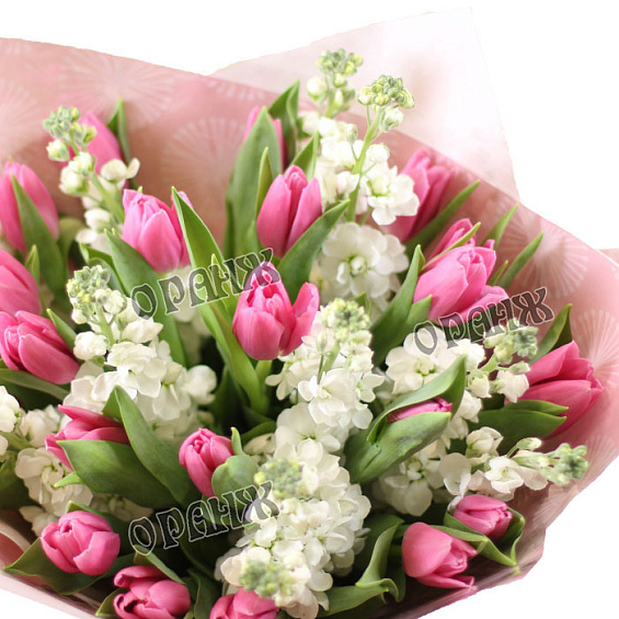 Букет из тюльпанов и левкоя — фото 2