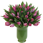 Тюльпан розовый